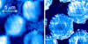 Images from NIST's atomic force microscope