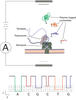 Schematic of an artificial membrane, across which a voltage forces an ionized fluid through the nanopore.