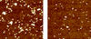 Left image: gold nanoparticles trapped on a brown collection surface. Right: fewer nanoparticles