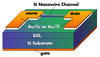 A schematic diagram of the NIST nanowire transistor