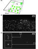 montage of nanofluidics 3D images