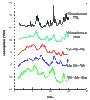 tripeptides