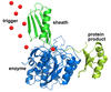 Illustration of protein purification