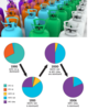 Color coded refrigerant bottles