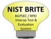 BRITE logo