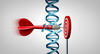 Genome editing technologies