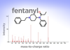 A graph with vertical lines showing the mass spectrum of fentanyl