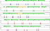 DNA Profile