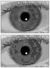 top image: black and white iris. bottom image: pixelated black and white iris image.