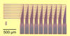 Ten amber-colored hair combs with handles lined up facing left on a yellow background