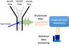 Quantum Biophotonics