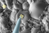 SEM of nano-contacts used to interrogate grains and grain boundaries