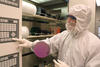 Man wearing a white protective coverall, hood, gloves and face mask, holds a round, purple, sample of a silicon wafer and presses buttons on a white instrument panel.