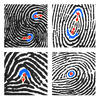 four graphics of pattern of fingerprints
