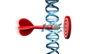 An arrow cutting through DNA and hitting target