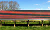 A demonstration solar park based on polymer solar cells at the Technical University of Denmark in Roskilde, Denmark.