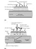 Line drawing of the method for manufacturing an array of sensors on a single chip