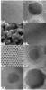 Electron micrographs of representative as-synthesized MNPs for thermometry.  