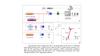 Experminetal system configuration for Ultra-High Spectral Resolution Spectrometer Based on Electromagnetically-Induced Transparency