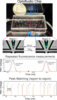 Optofluidic chip