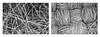 Side-by-side black and white images of fibers with scale bars at lower left indicating the degree of magnification.