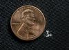 Black background. Photo of a penny. Next to the penny is a tiny amount of a white powder.