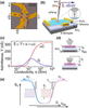 Figure 1 from "Microscopic origin of inhomogeneous transport in four-terminal tellurene devices"