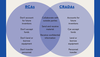 Venn Diagram of Research Collaboration Agreements vs. Cooperative Research and Development Agreements