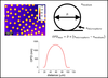 MML researchers develop reference materials and methods for quantitative phase microscopy with off-the-shelf products