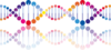 Illustration of a DNA strand and its mirror image