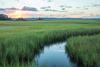 The sun rises over a green marsh with an open channel of water running through. 