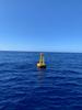 A yellow buoy with a red base floats in the sea under a blue sky. 