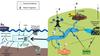 Graphic depicting the sources and transport of plastic additives in the environment. 