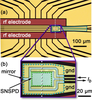 Photomicrograph of the linear ion trap with integrated SNSPD