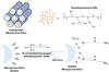 Project Infographic for synthesis and longevity of candidate direct air capture (DAC) materials