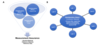 A figure with two panels. Left panel shows the activities of WG4-ILS1 physical titer, WG4-ILS2 infectious titer, and WG4-ILS3 purity, as funneling into the result of measurement assurance for gene delivery systems and potential generation of standard methods, reference materials or reference data. Right panel shows the activities of WG4-ILS1 that will be distributed to labs through sharing contributed materials for measurements of genome titer, capsid titer, particle concentration, and other methods.