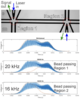Demonstration of signal collected on a single detector of coincident detection of particles in two regions.  Recovery of the components of the signal from each particle is demonstrated through signal demodulation. 