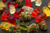 Close-up photo of multicolored gummy bears lying on a surface with cannabis buds interspersed.