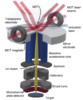 Lithium magneto-optical trap-based ion source (Li MOTIS).