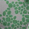 A group of oval-shaped nanoparticles looks like stones on a gray surface.
