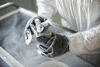 Image of a researcher wearing gloves holding a bottle of tissue material over a cart with dense fog billowing out.