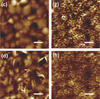 photothermal induced resonance images