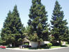 photo of house surrounded by trees