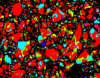 Cement Particle Screenshot