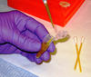 dirt dna extraction