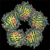 Computer-generated image of the structure for C-reactive protein
