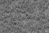 nanowire lithium-ion batteries