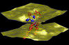 An imaging technique known as neutron diffraction, used along with molecular simulations, revealed that an ion channel’s voltage sensing domain perturbs the two-layered cell membrane that surrounds it.