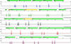 DNA Profile