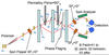 Schematic view of the experimental setup